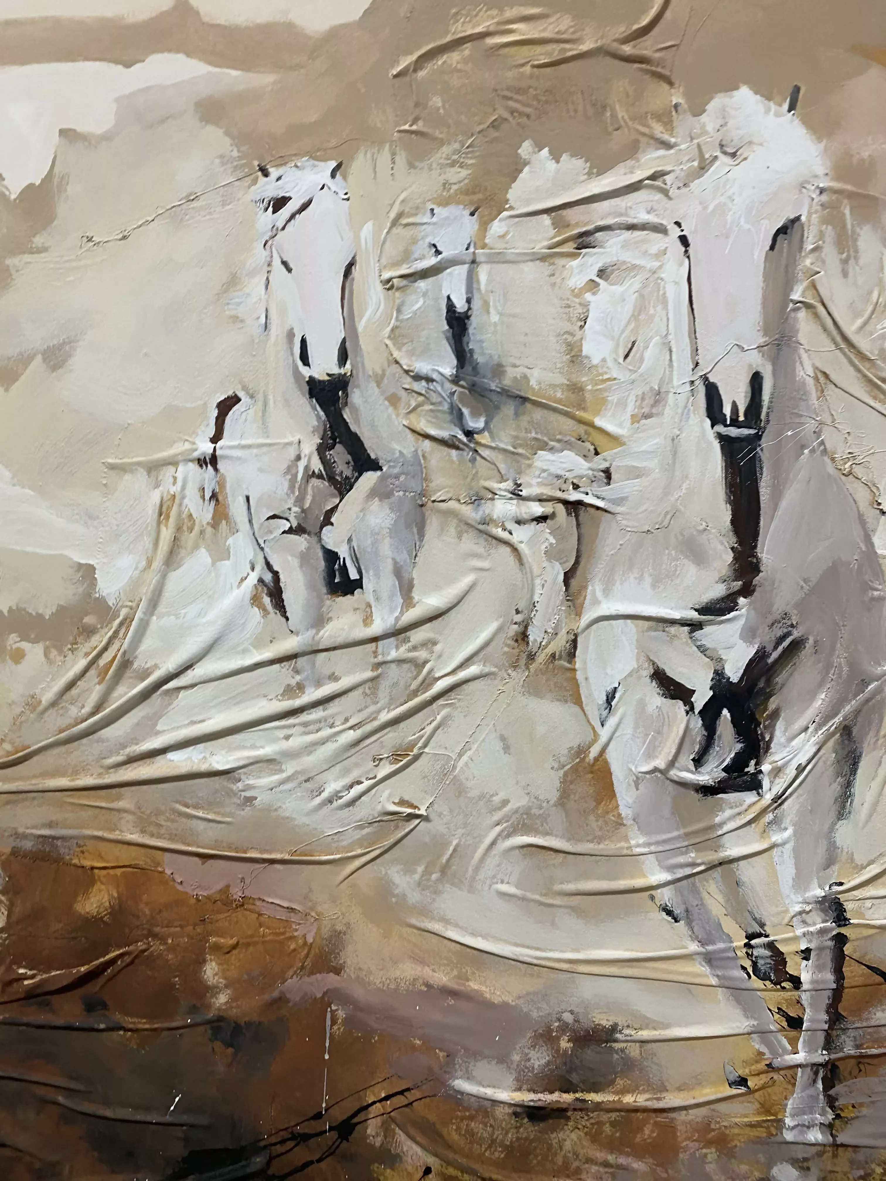 Alfredo Coelho - Image 4