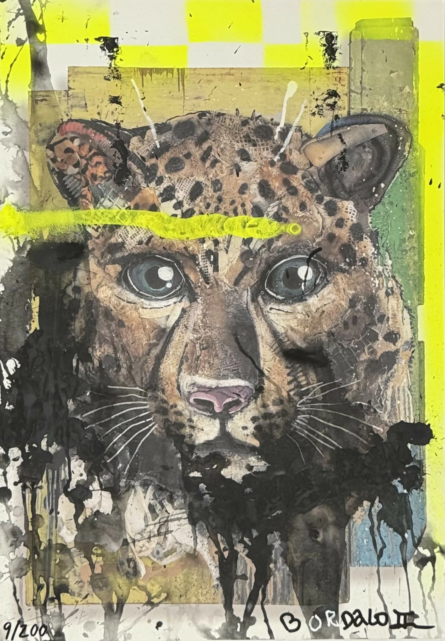Bordalo II