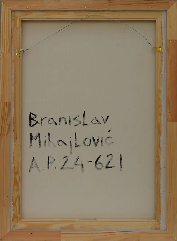 Branislav Mihajlovic - Image 4