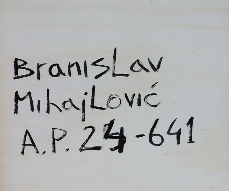 Branislav Mihajlovic - Image 3