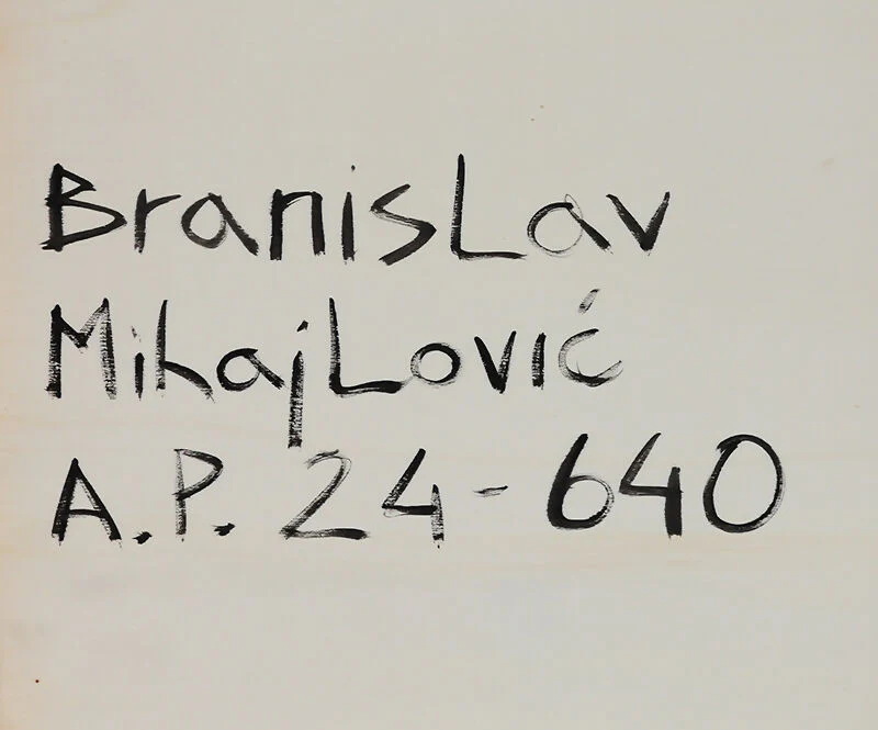 Branislav Mihajlovic - Image 3