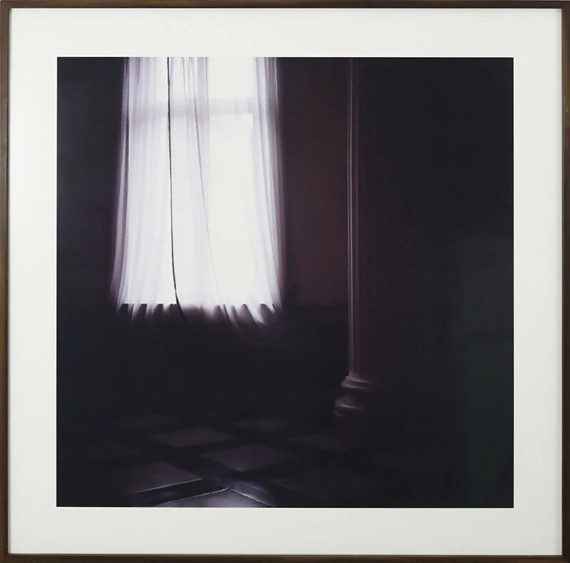 Carlos Lobo - Image 2