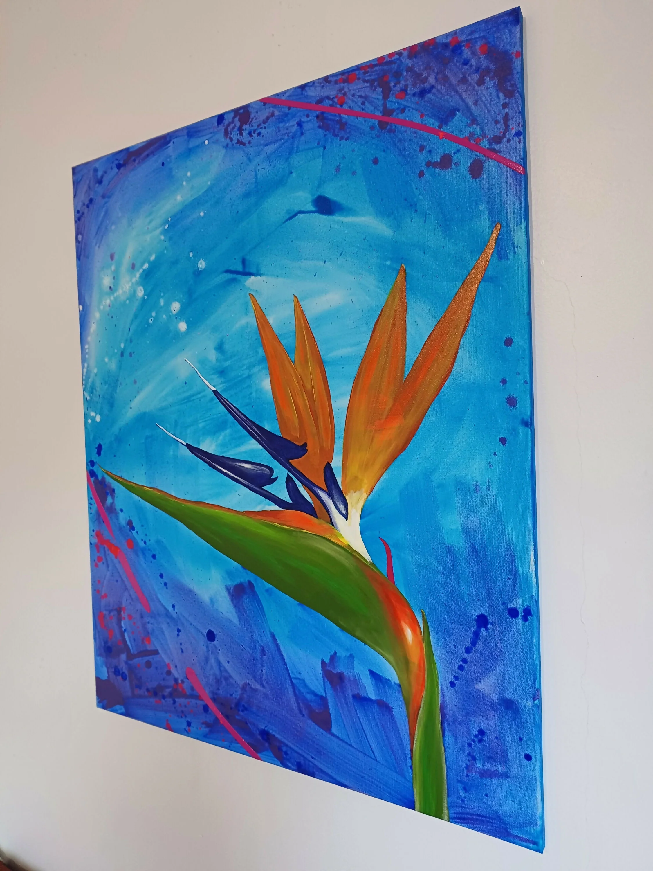 Eliana Sá - Image 4
