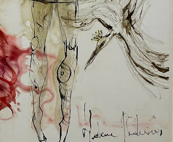 Helena de Medeiros - Image 5