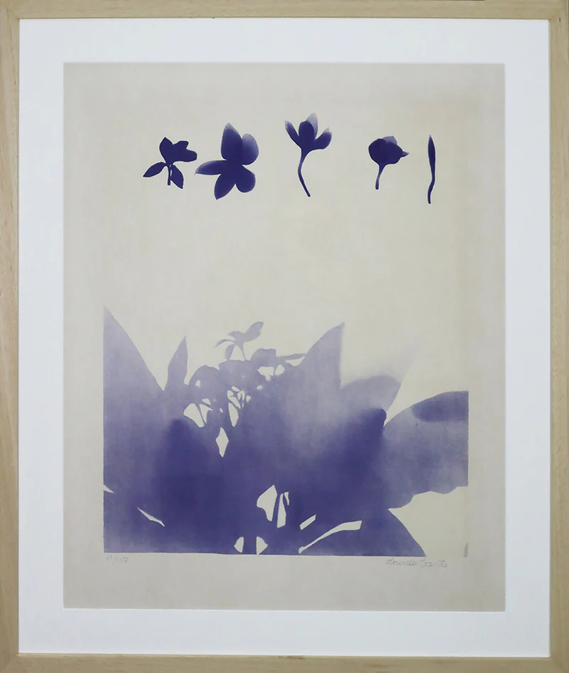 Lourdes Castro - Image 2