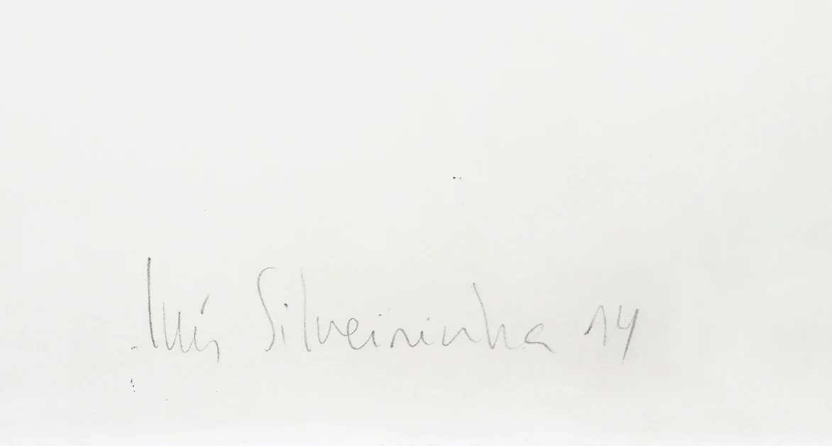 Luís Silveirinha - Image 3