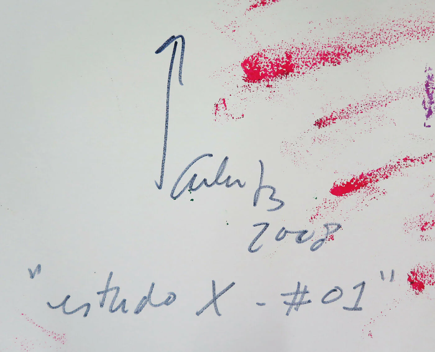 Pedro Calapez - Image 3
