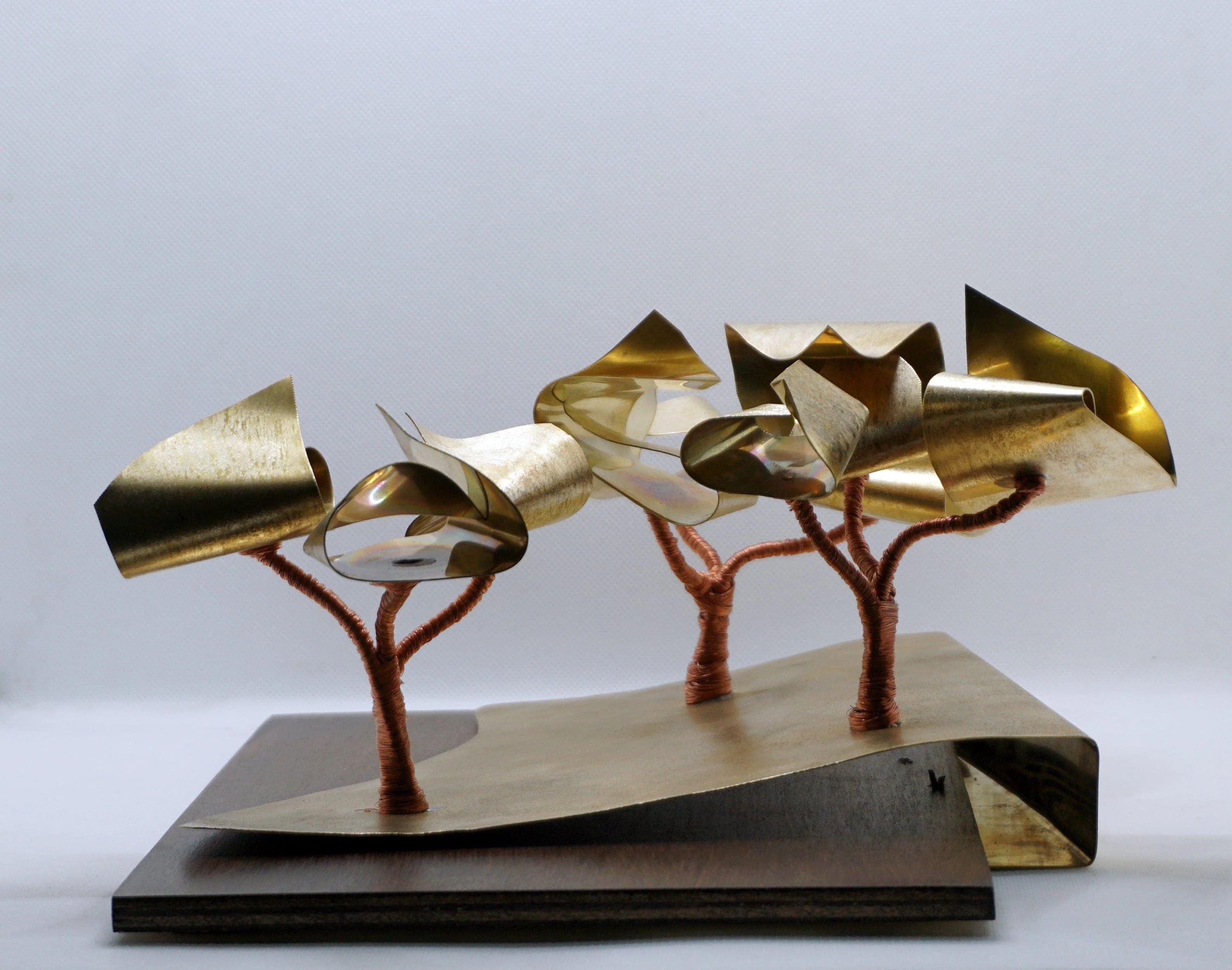 Pedro Cordeiro - Image 3