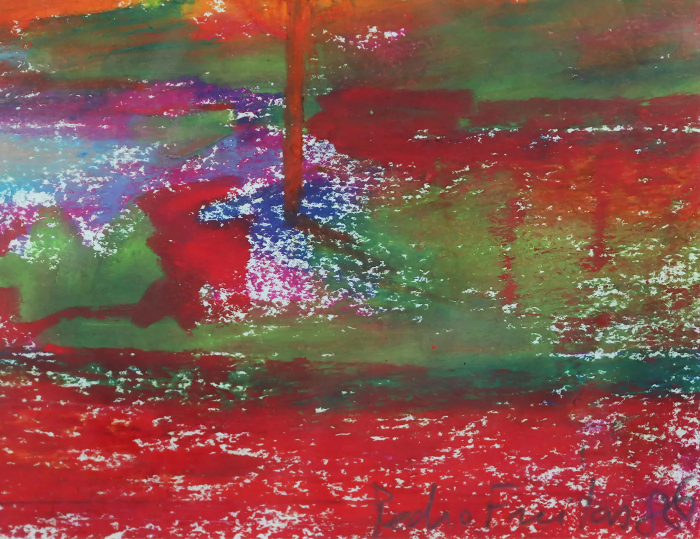 Pedro Freitas - Image 3