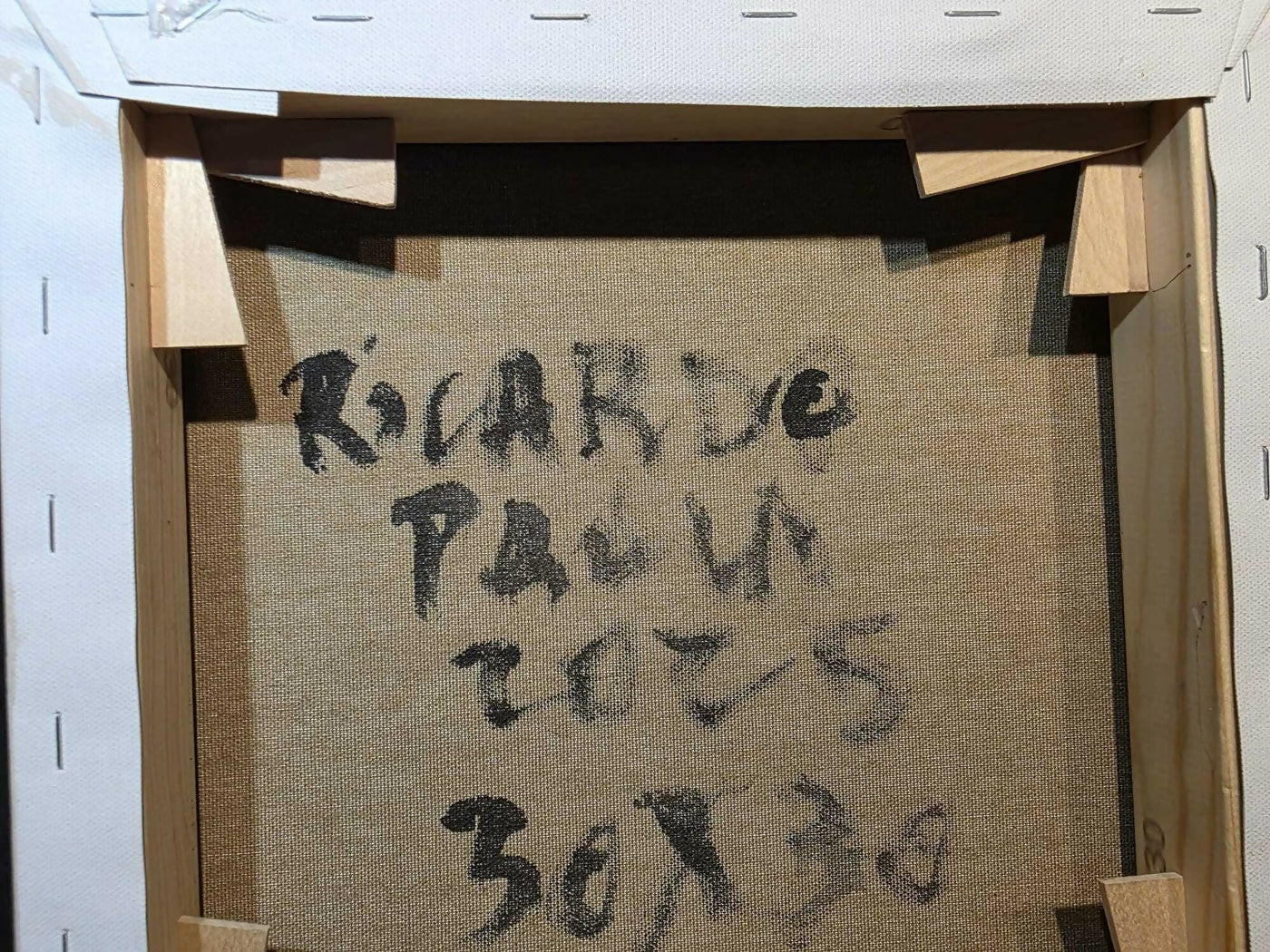 Ricardo Paula - Image 3
