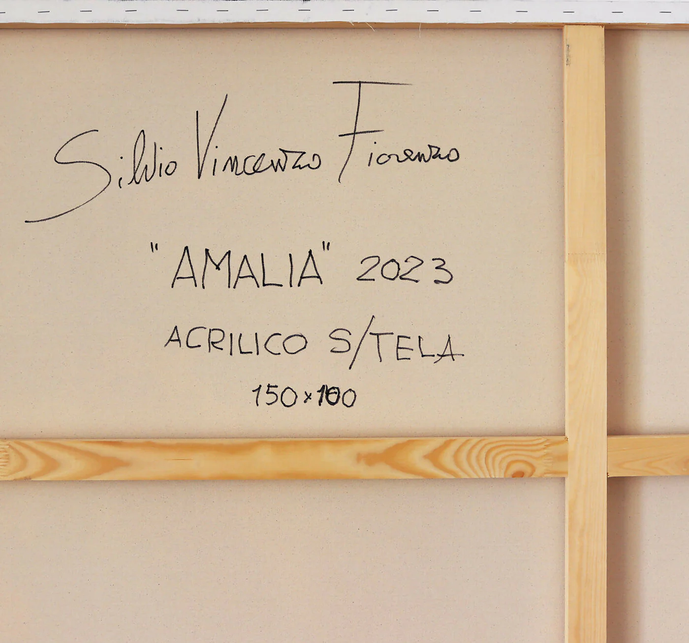 Silvio Fiorenzo - Image 2