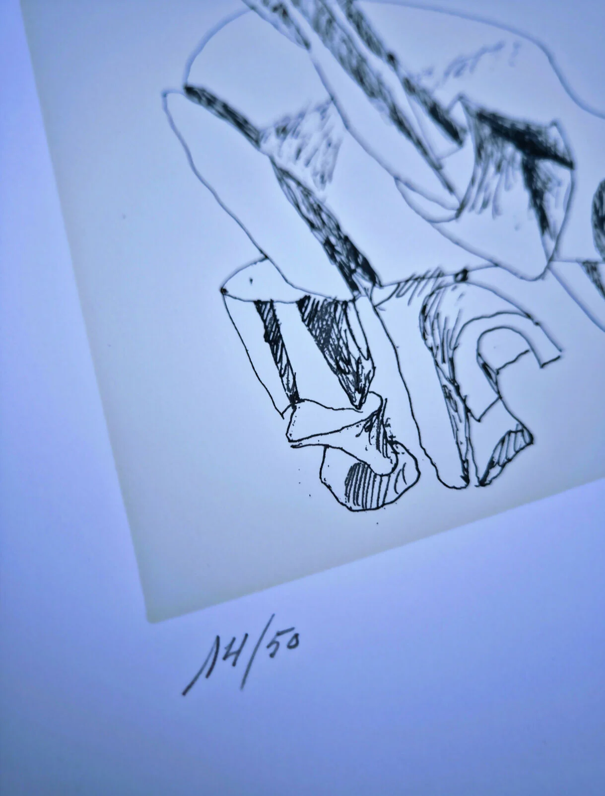 Siza Vieira - Image 4