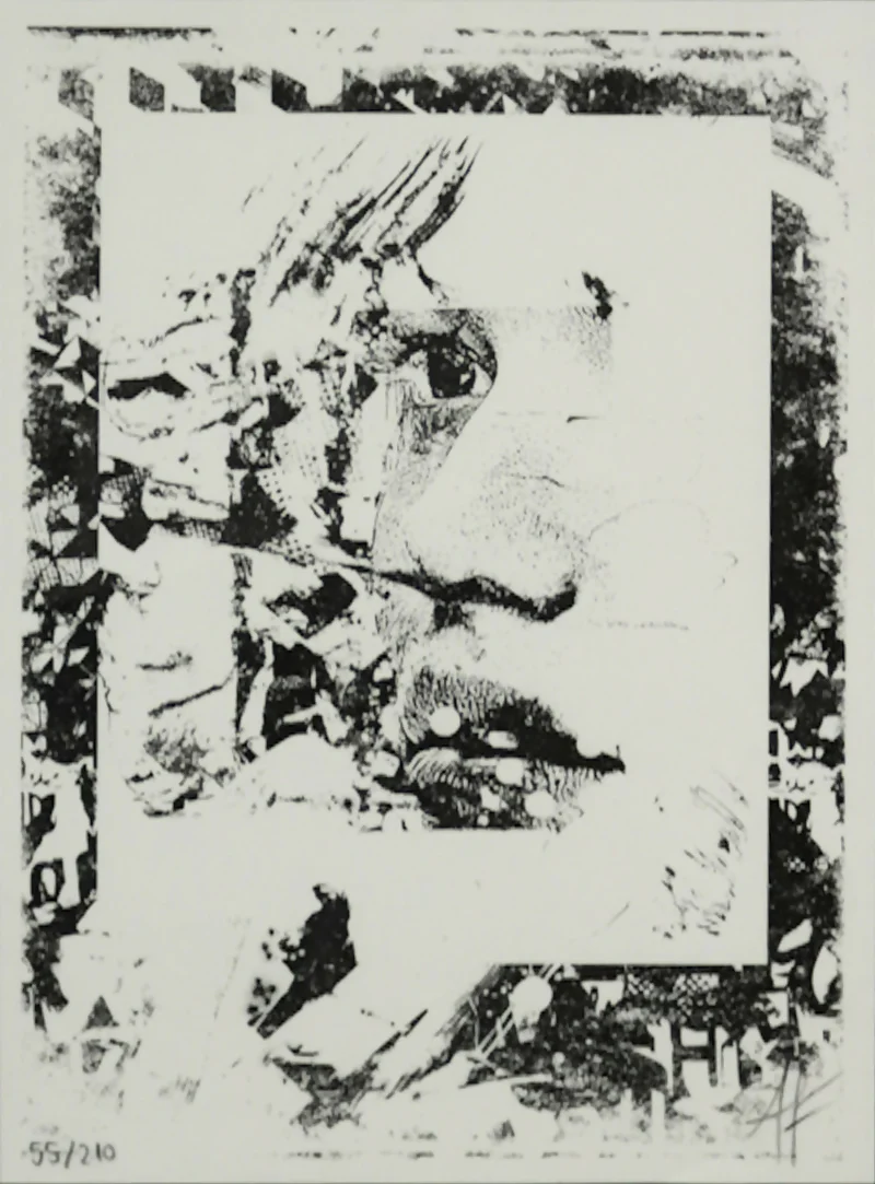 Vhils